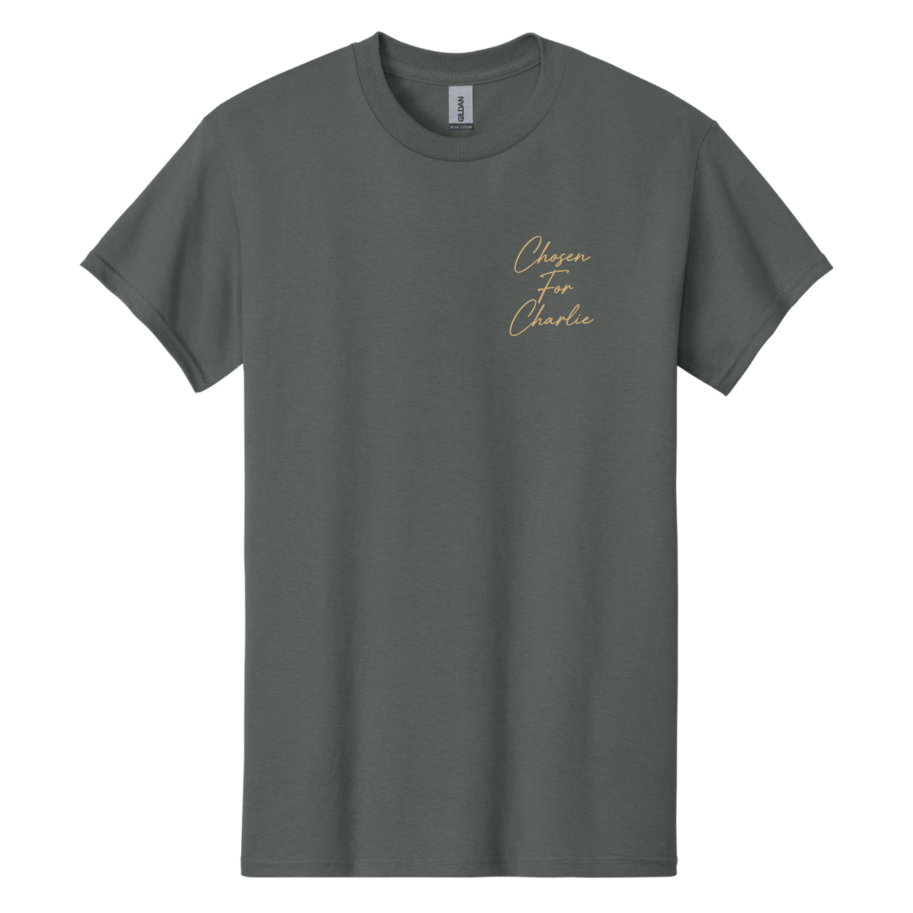 God Has a Plan T-Shirt